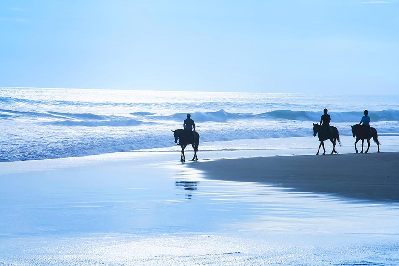 Nantucket Penthouse - Walk To Restaurants Beaches Activies & So Much More Half Moon Bay Dış mekan fotoğraf